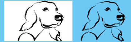 1563766910661349.jpg 38804393.jpg