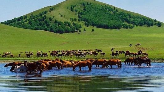 1564112522633718.jpg 内蒙古自治区.jpg