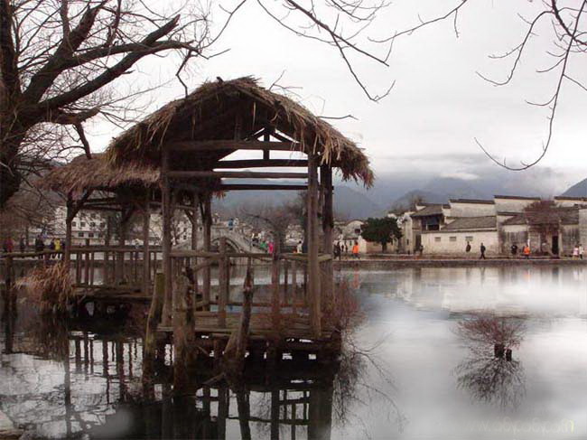 1564370354735425.jpg 64200497.jpg