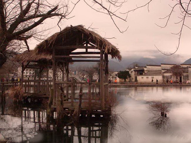 1564370483267873.jpg 64200653.jpg