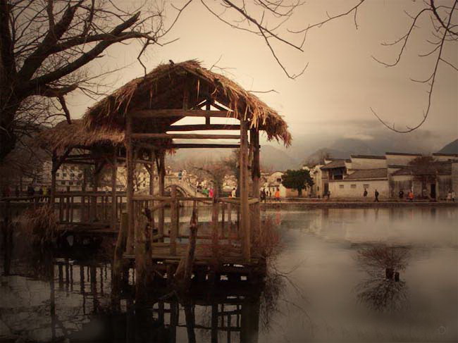 1564370536538628.jpg 64201153.jpg