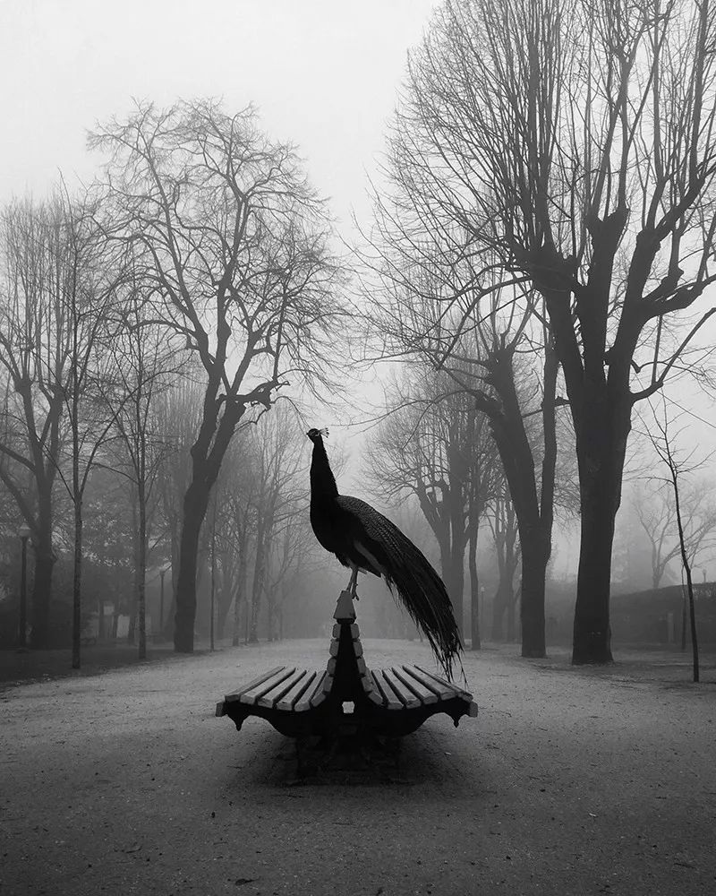 1565158854690539.jpeg pic_009.jpeg