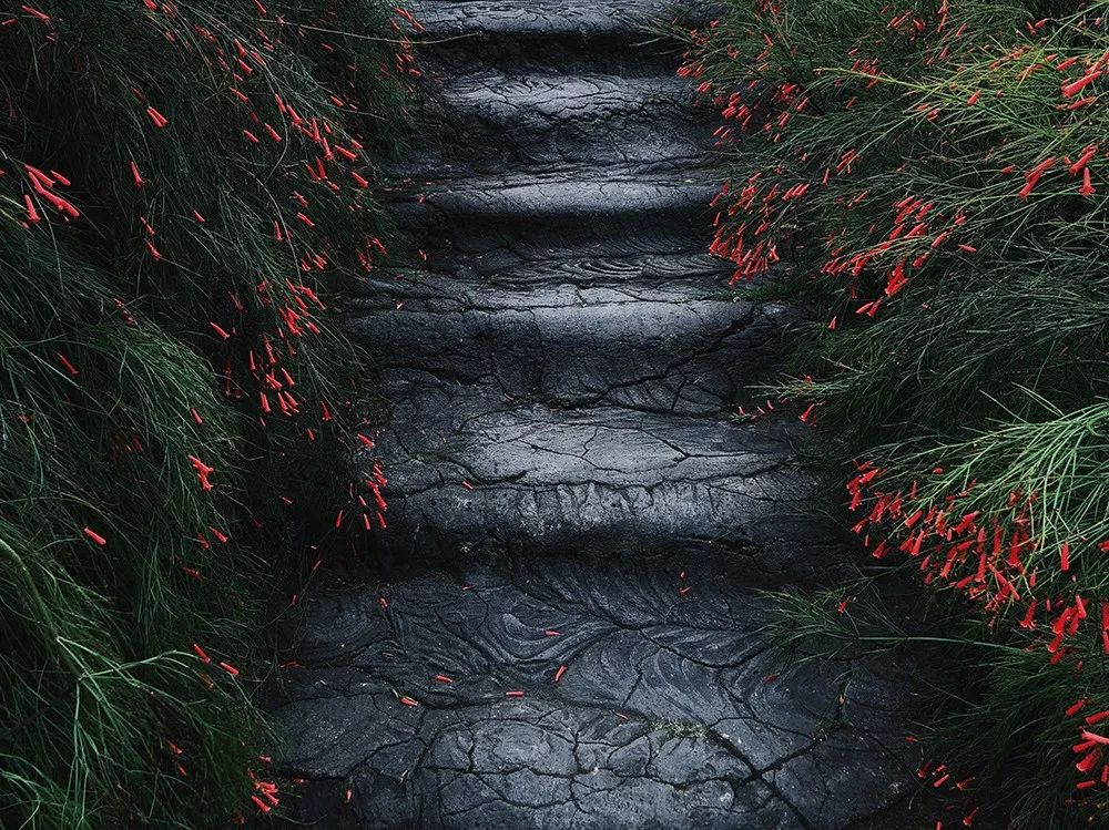 1565158960576098.jpeg pic_020.jpeg