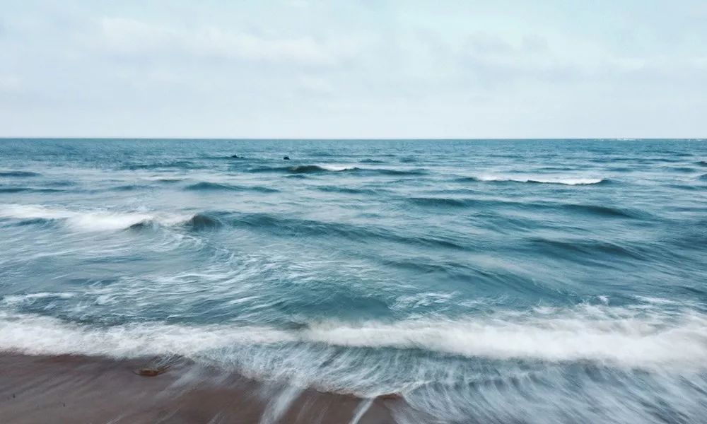 1565159061689640.jpeg pic_029.jpeg