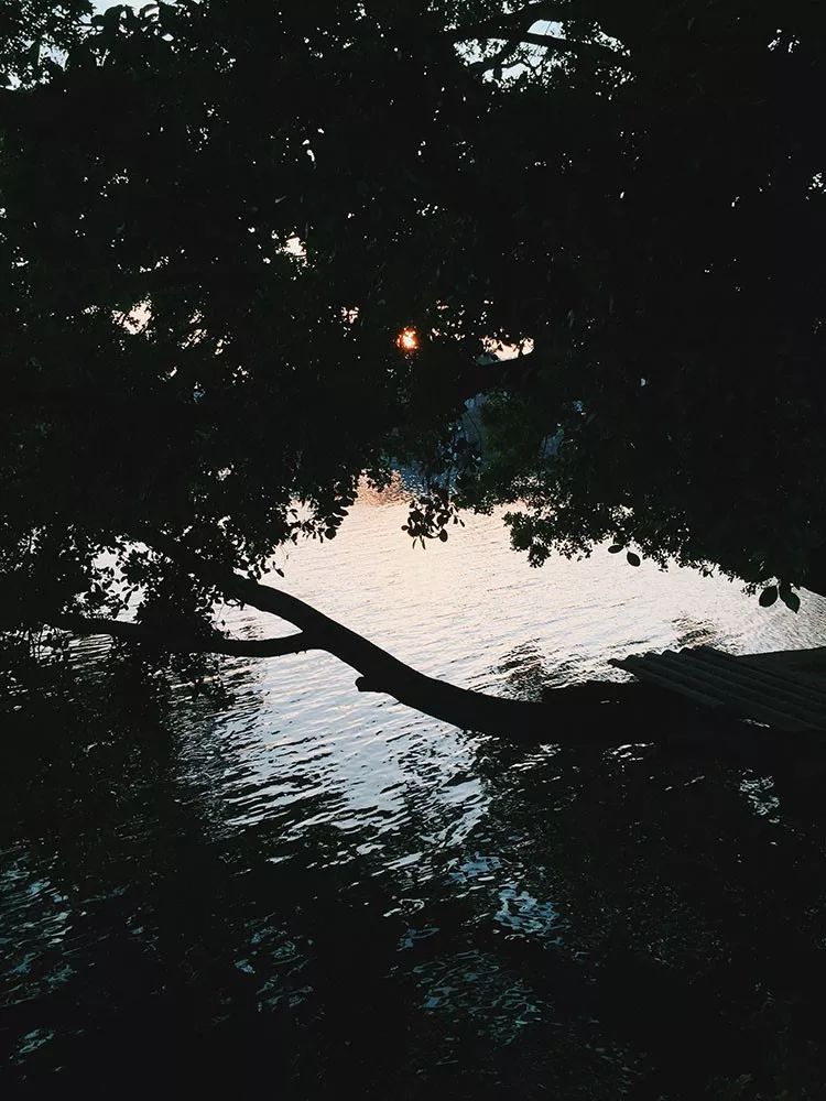 1565159265437356.jpeg pic_050.jpeg