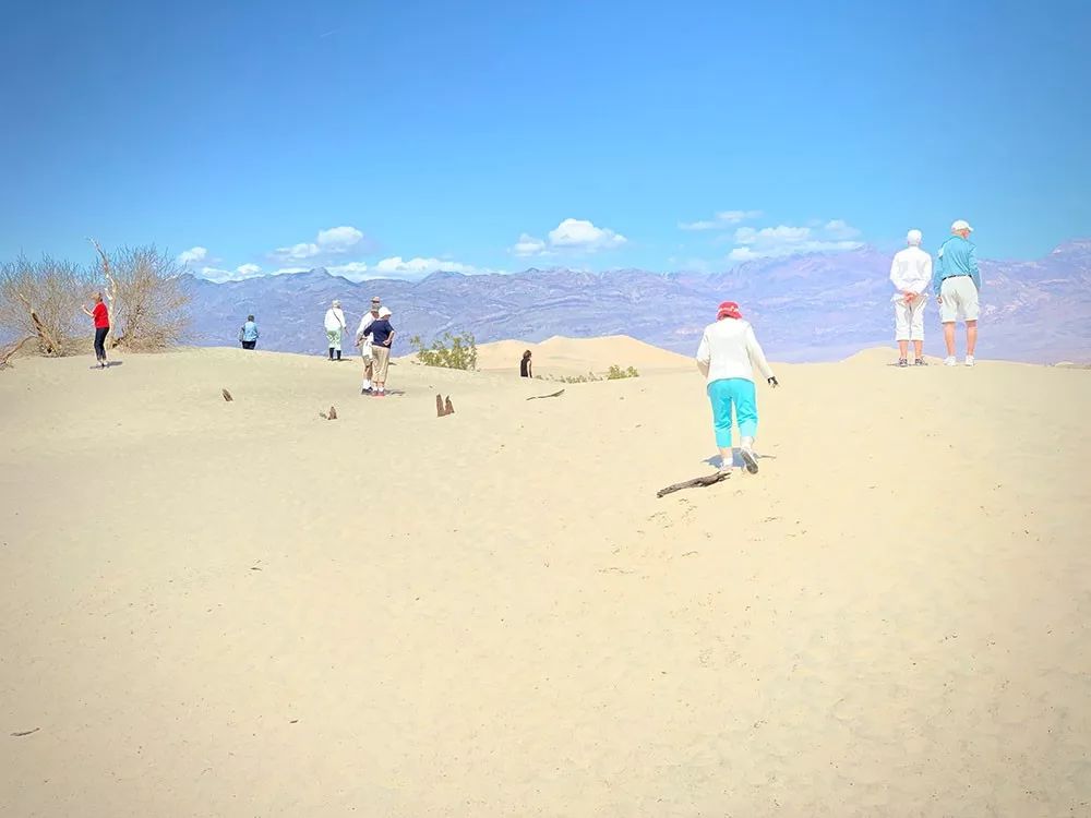 1565159282428077.jpeg pic_052.jpeg