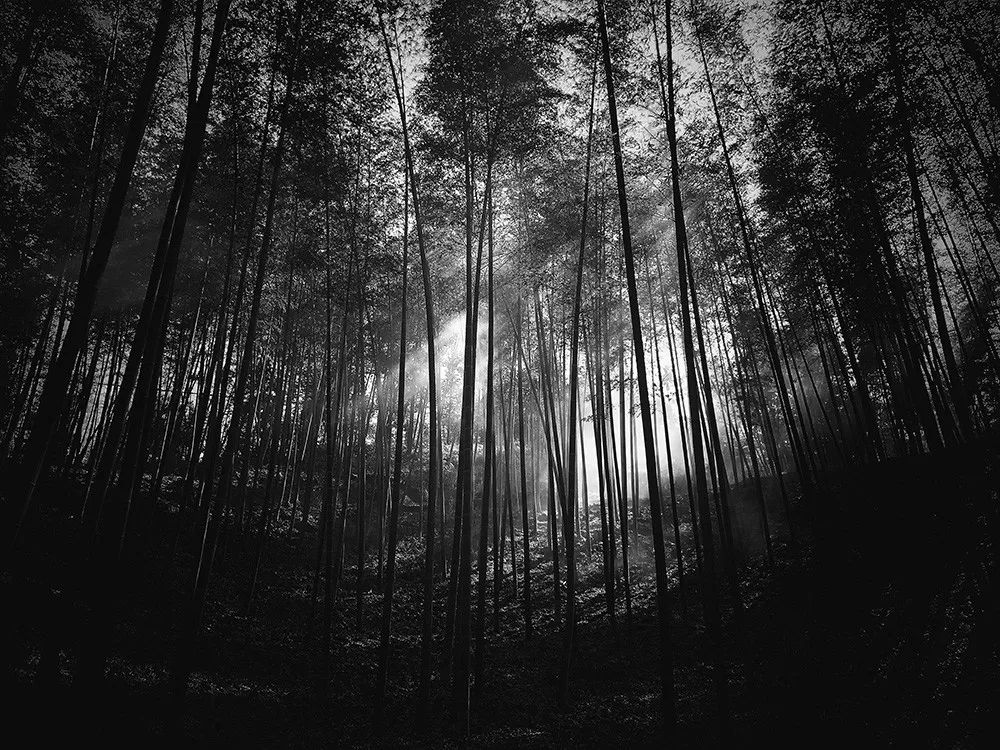 1565159311344871.jpeg pic_056.jpeg