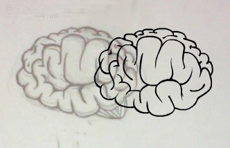 1565235572680030.jpg 52284921.jpg