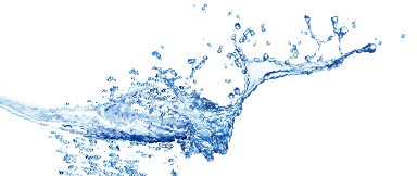 1565321140500582.jpg 40331805.jpg