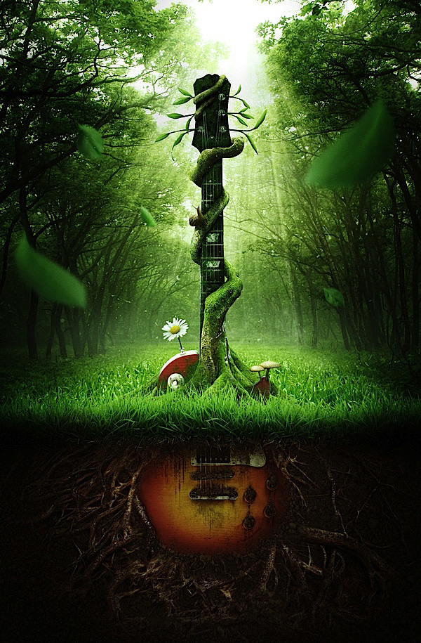 1565404162968096.jpeg 4_78008.jpeg