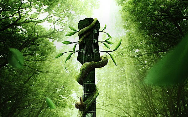 1565404191884245.jpeg 4_28973.jpeg