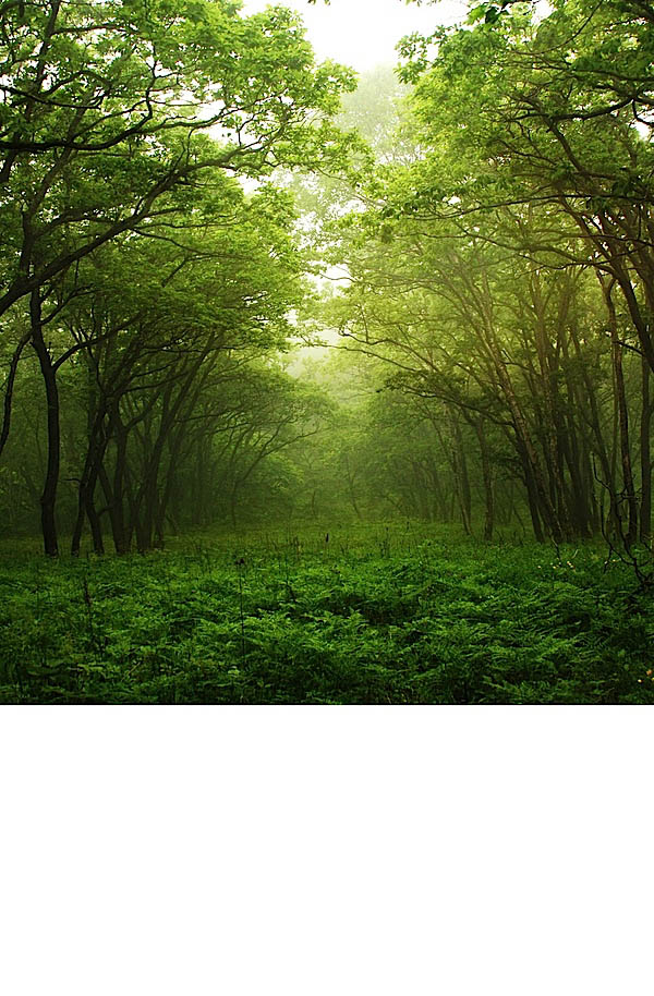 1565404283615282.jpeg 8_56367.jpeg