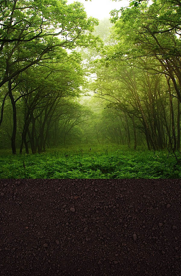 1565404386981125.jpeg 8_13460.jpeg