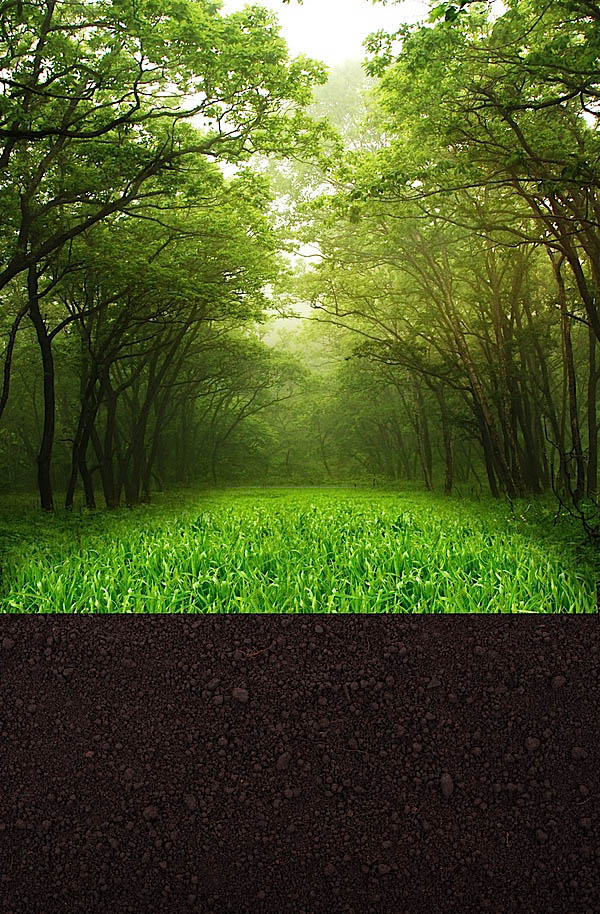 1565404443427251.jpeg 8_14169.jpeg