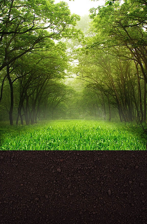 1565404484845955.jpeg 8_94031.jpeg