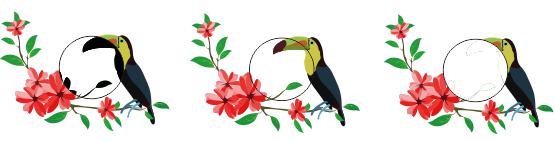 1566788501548475.jpg 58396609.jpg