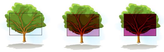 1566788523814591.jpg 58396781.jpg