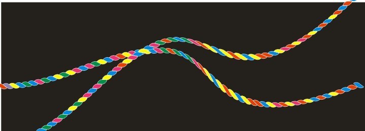 1566876781792038.jpg 43715401.jpg