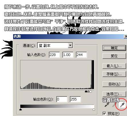 1569030519252663.jpg 132245.jpg