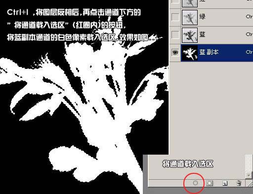 1569030541396065.jpg 132246.jpg