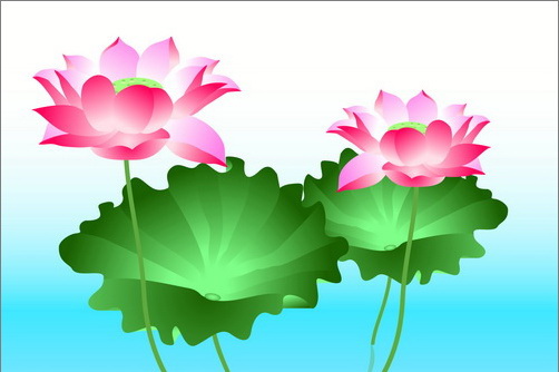 1569554230180982.jpg 939340.jpg