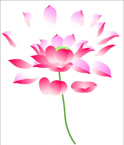 1569554253227622.jpg 939341.jpg