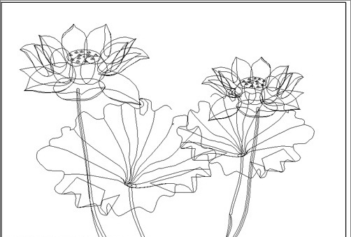 1569554277512078.jpg 939343.jpg