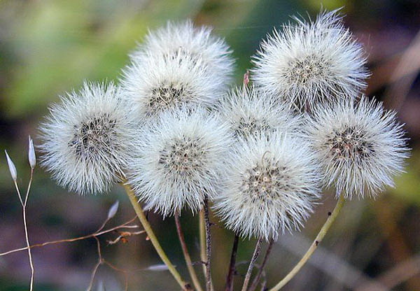 1570501626609236.jpg 903320.jpg