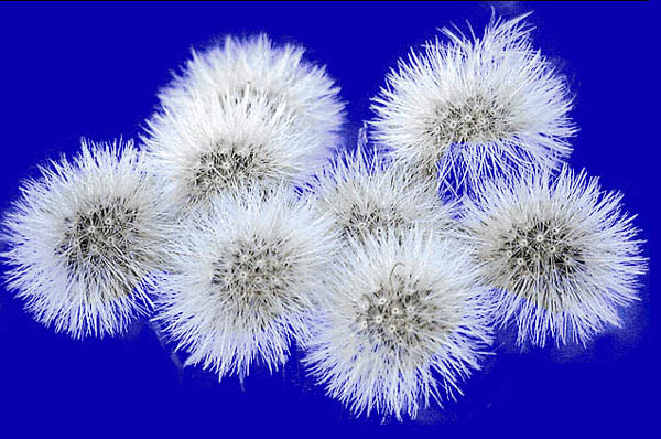 1570501640196094.jpg 903321.jpg