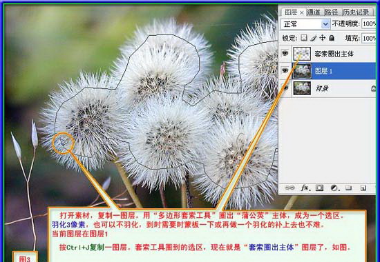 1570501654260717.jpg 903322.jpg