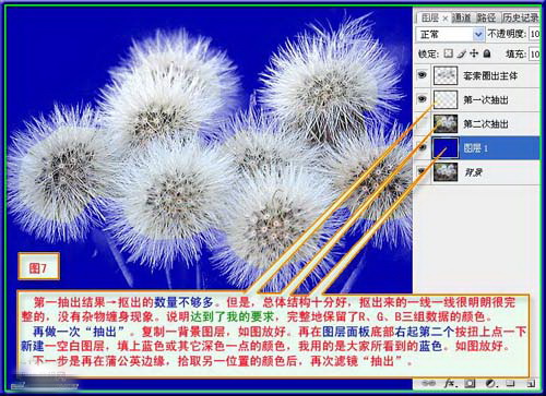 1570501720475604.jpg 903326.jpg