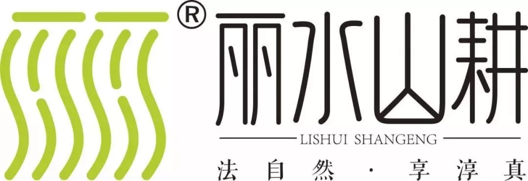 1571023174722561.jpg 2019年首届“丽水山耕”农业文创大奖1.webp.jpg