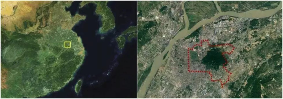 1571627250439203.jpg 竞赛背景及内容2.webp.jpg