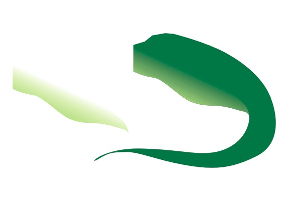 1571716662845682.jpg 142510.jpg