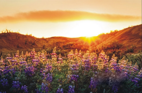 1571975006578989.png 927410.png