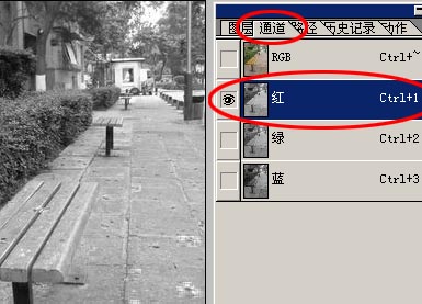 1572320876326279.jpg 004254.jpg