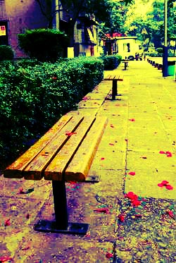 1572320995596667.jpg 042514.jpg