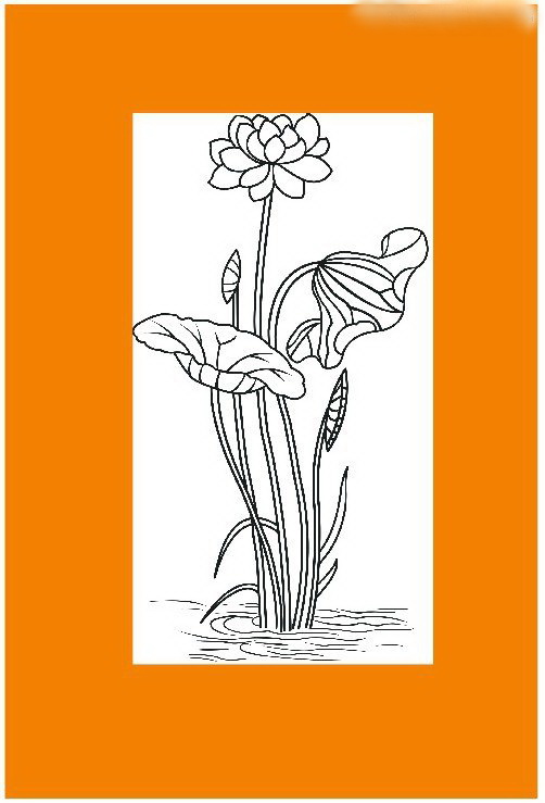 1572321229547200.jpg 001571.jpg