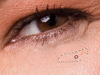 1572406217647686.jpg 948423.jpg