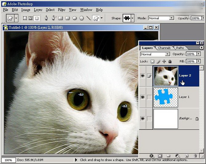 1572492527382423.jpg 1232352.jpg