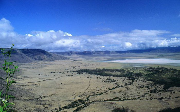 1572661883432862.jpg 003581.jpg