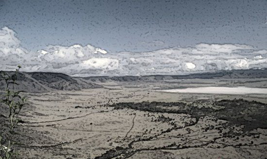 1572662029729097.jpg 003586.jpg