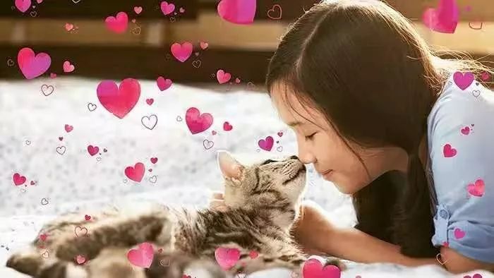 1572924918878275.jpeg pic_004.jpeg