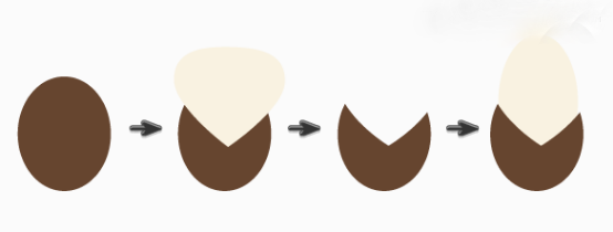 1573010091472191.png 470517.png