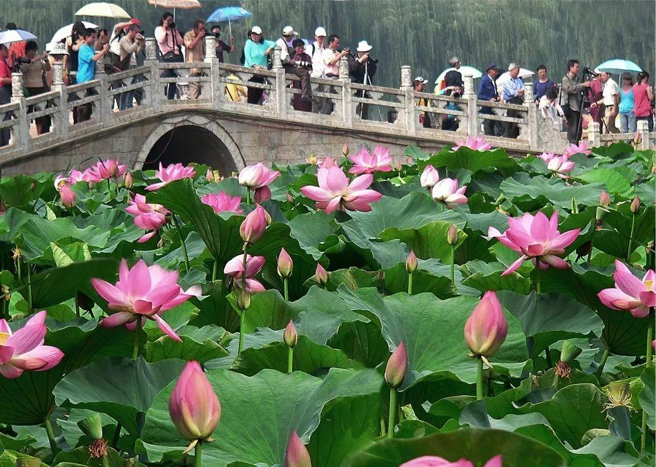 1573010255165672.jpeg 大观楼杯2.jpeg