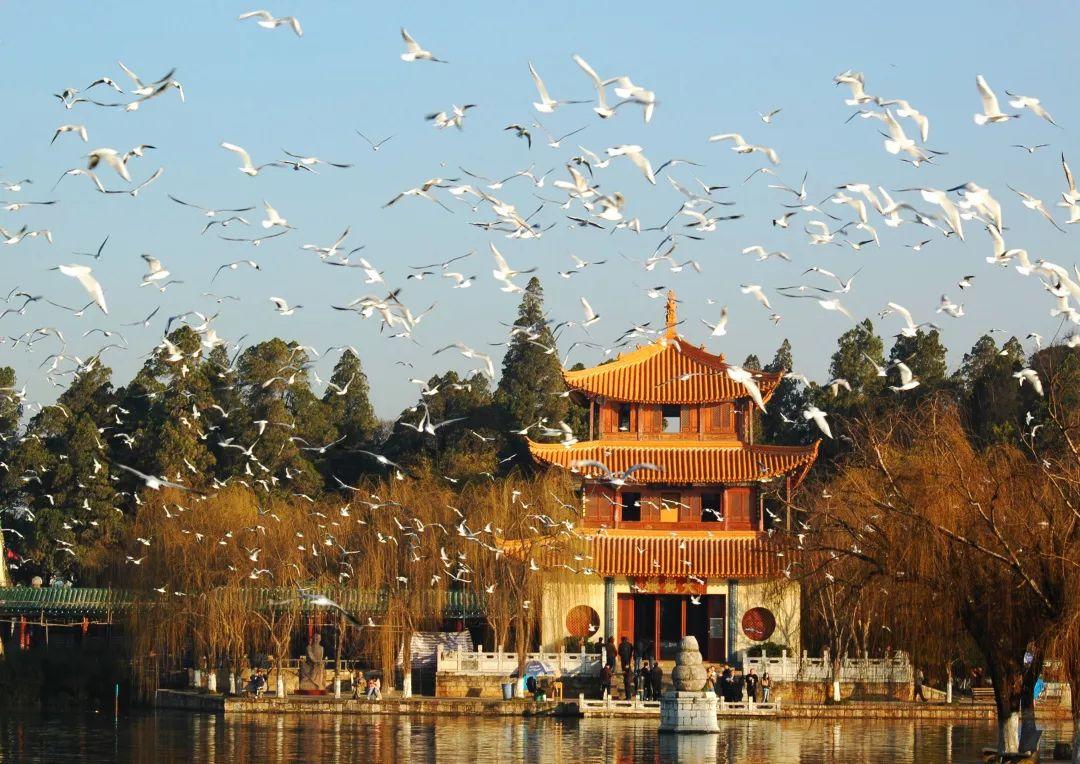 1573010276962002.jpeg 大观楼杯3.jpeg