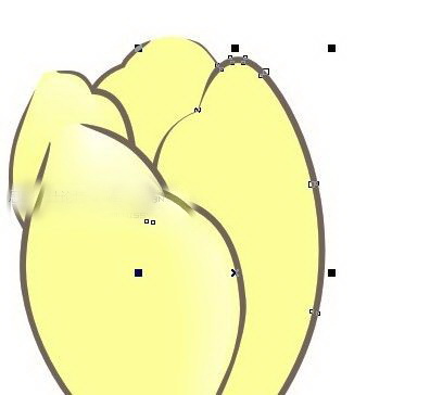 1573010552339930.jpg 103052.jpg