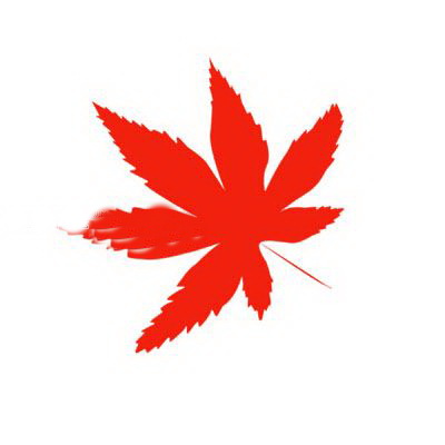 1573185333386460.jpg 937331.jpg