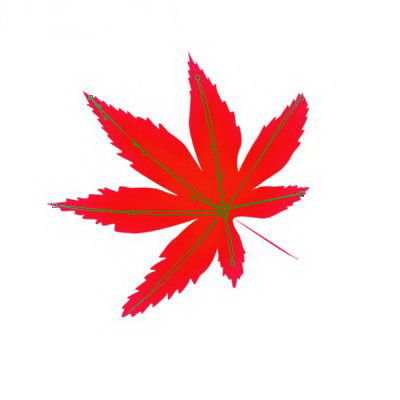 1573185350780290.jpg 937333.jpg