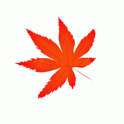 1573185358549034.gif 937334.gif